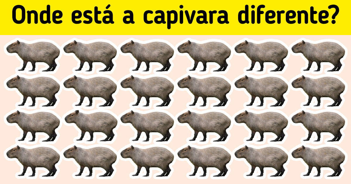 Teste: Encontre em 5 segundos a diferença entre estas imagens tão familiares aos brasileiros