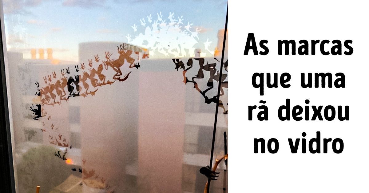 16 Fotos incríveis tiradas na hora H