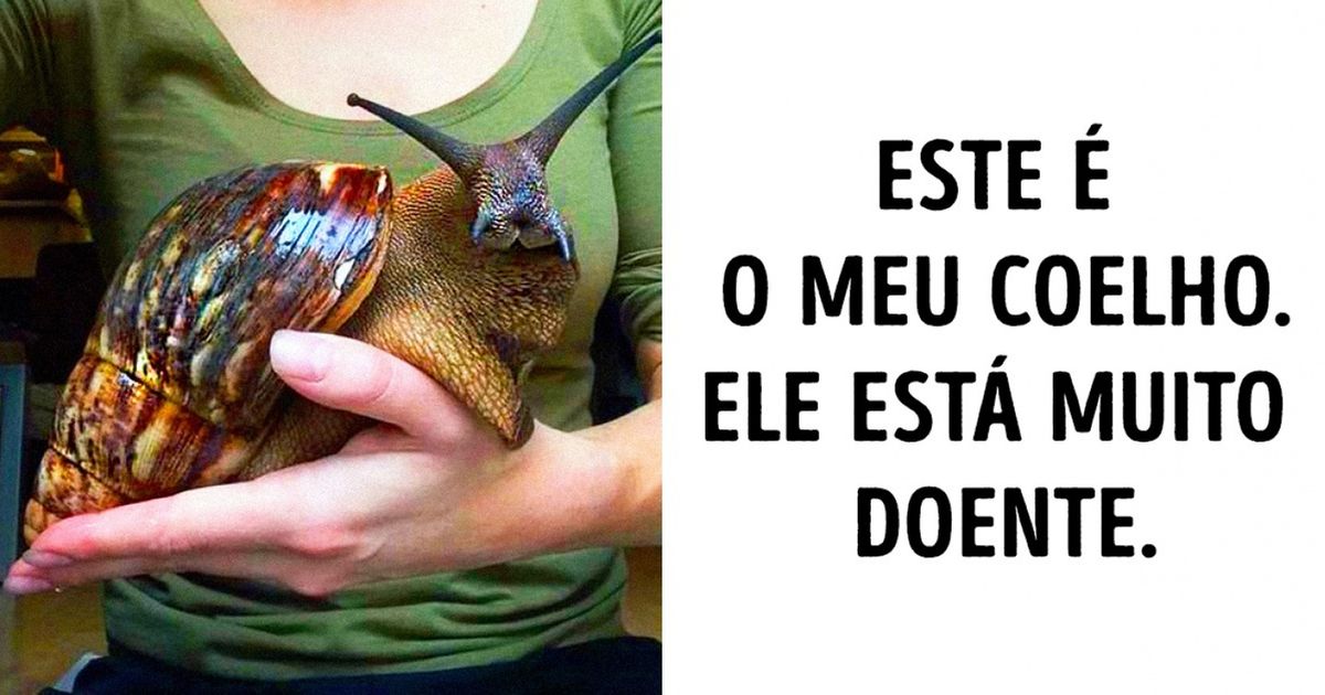 17 Pessoas que levam o humor a outro nível