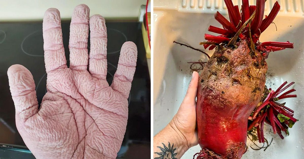 20 Fotos que provam como a natureza sempre encontra uma nova forma de nos surpreender