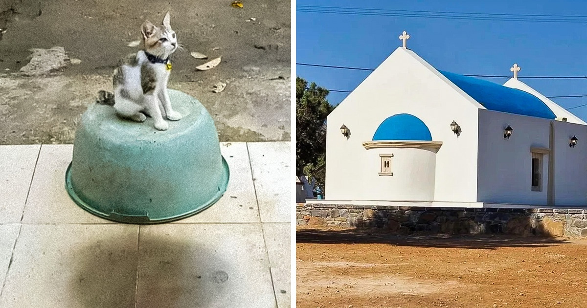 18 Fotos que só conseguimos entender depois de gastar alguns neurônios 18 Fotos que só conseguimos entender depois de gastar alguns neurônios