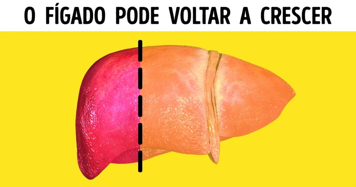 8 provas de que nosso corpo é uma máquina perfeita
