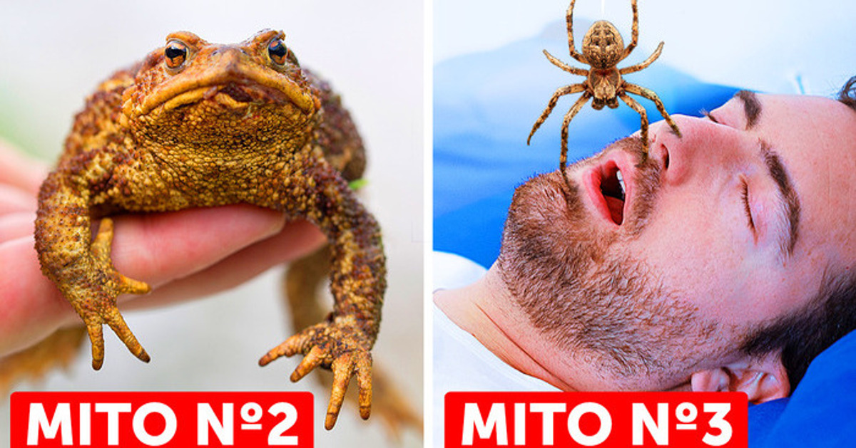 27 Mitos nos quais crescemos acreditando, mas que são falsos
