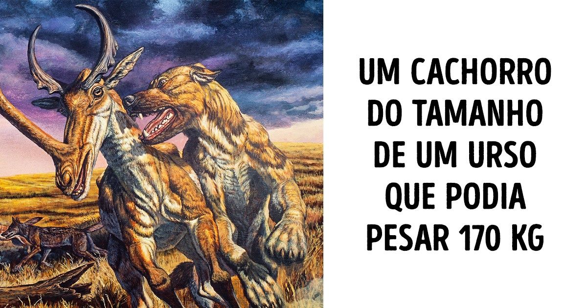 8 Animais pré-históricos descobertos recentemente que intrigam os paleontólogos