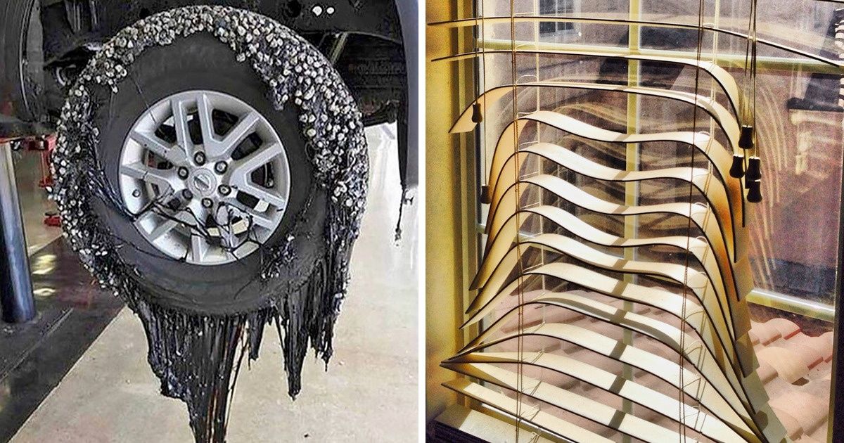 16 Fotos que comprovam que o calor não perdoa ninguém 16 Fotos que comprovam que o calor não perdoa ninguém
