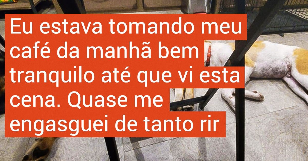 19 Internautas compartilham relatos divertidos sobre o comportamento peculiar de seus cachorros
