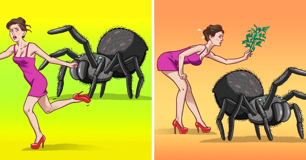 9 Maneiras de manter aranhas e insetos longe da sua casa