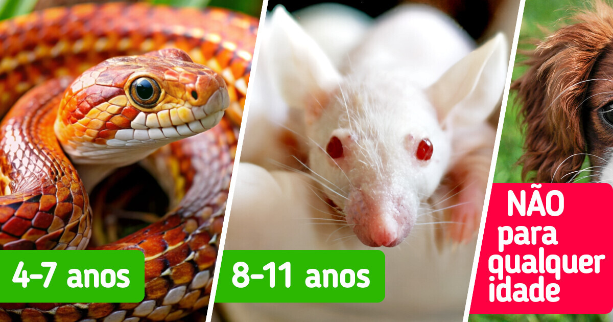 10 Dicas essenciais para escolher o pet ideal para seus filhos 10 Dicas essenciais para escolher o pet ideal para seus filhos