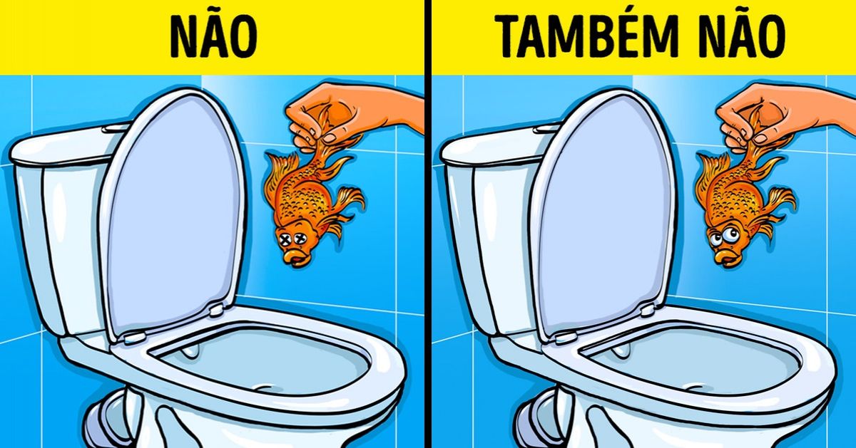 12 Coisas que não devem ser jogadas no vaso sanitário 12 Coisas que não devem ser jogadas no vaso sanitário