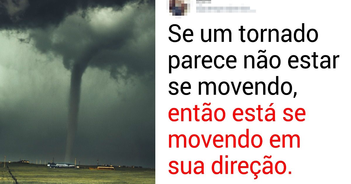 Internautas compartilham informações que devemos lembrar de uma vez por todas Internautas compartilham informações que devemos lembrar de uma vez por todas