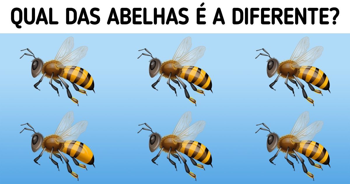 10 Desafios para você exercitar o seu poder de concentração e manter o seu cérebro em forma