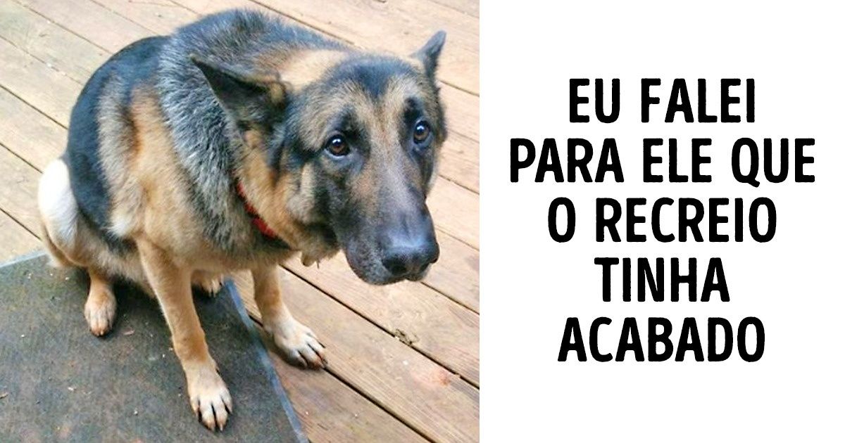 20+ Bons garotos que tiveram um dia muito triste (por que também estou chorando?) 20+ Bons garotos que tiveram um dia muito triste (por que também estou chorando?)