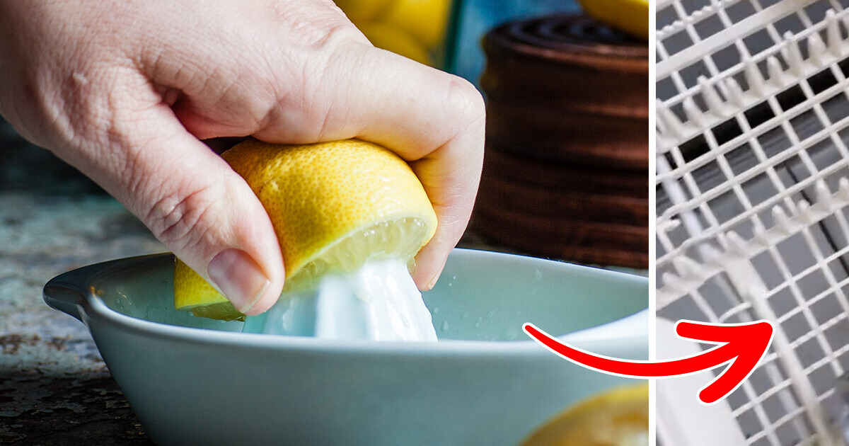 VÍDEO: Dica viral mostra o que fazer antes de jogar os limões fora VÍDEO: Dica viral mostra o que fazer antes de jogar os limões fora
