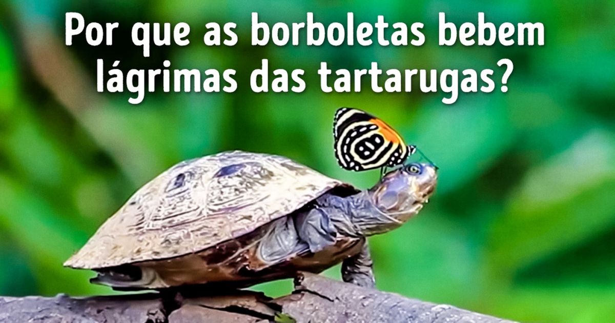 10 Perguntas intrigantes capazes de confundir qualquer um 10 Perguntas intrigantes capazes de confundir qualquer um