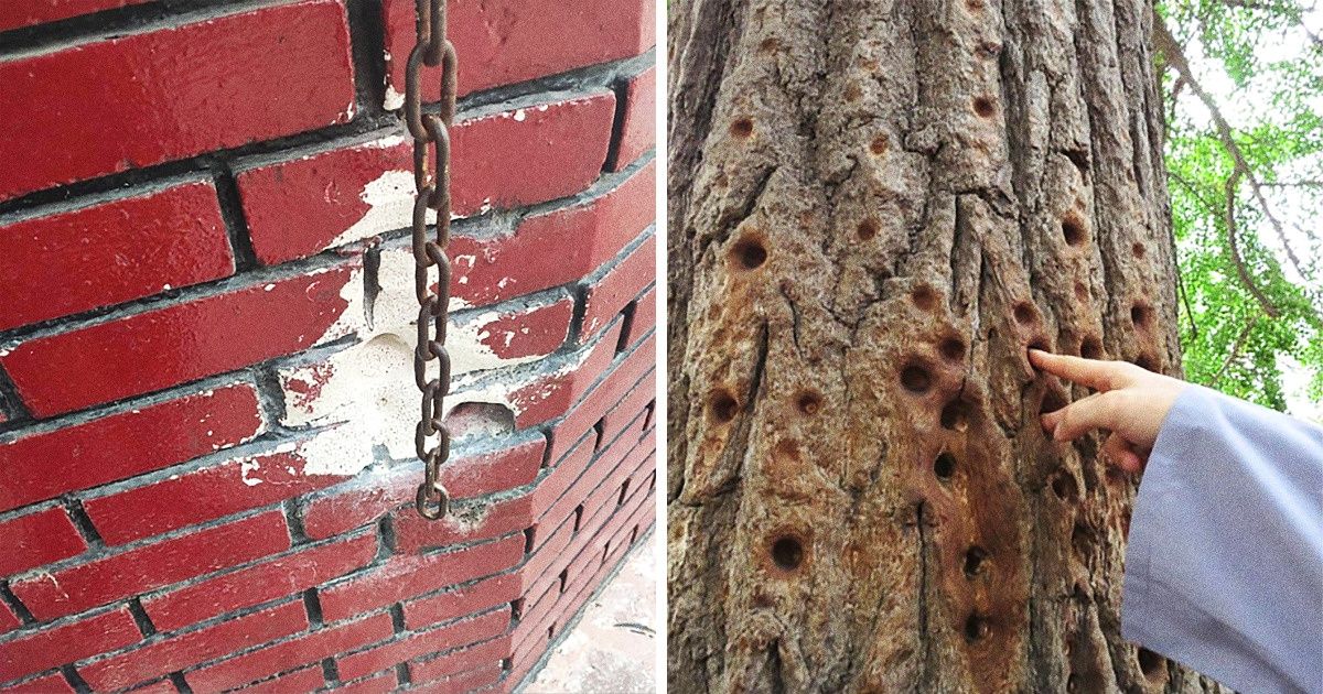 20 Fotos de usuários do Reddit mostram a ação do tempo em objetos e lugares