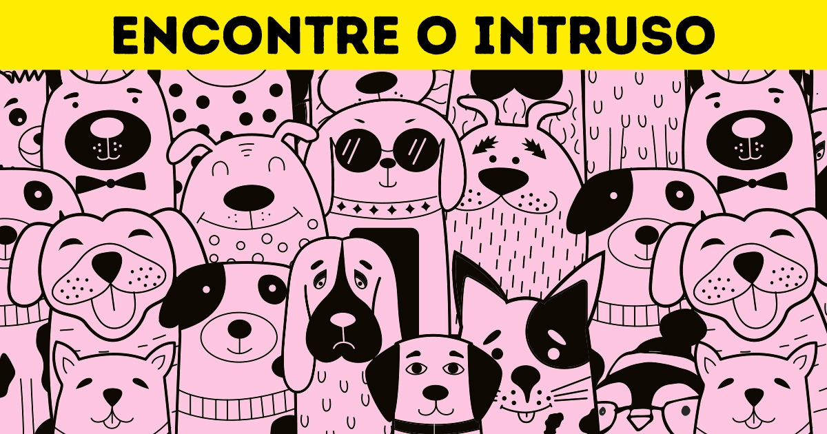 Teste: Comprove como está sua visão e tente encontrar o pinguim infiltrado nestas 18 imagens