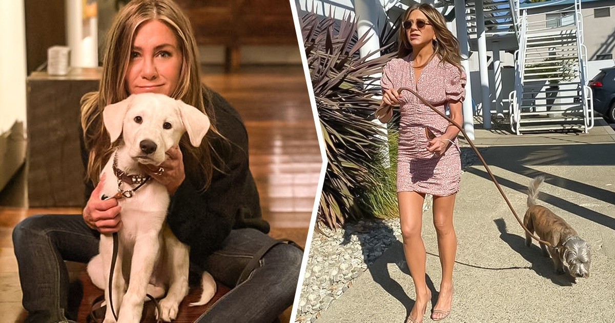 16+ Famosos que se derretem por seus animais de estimação