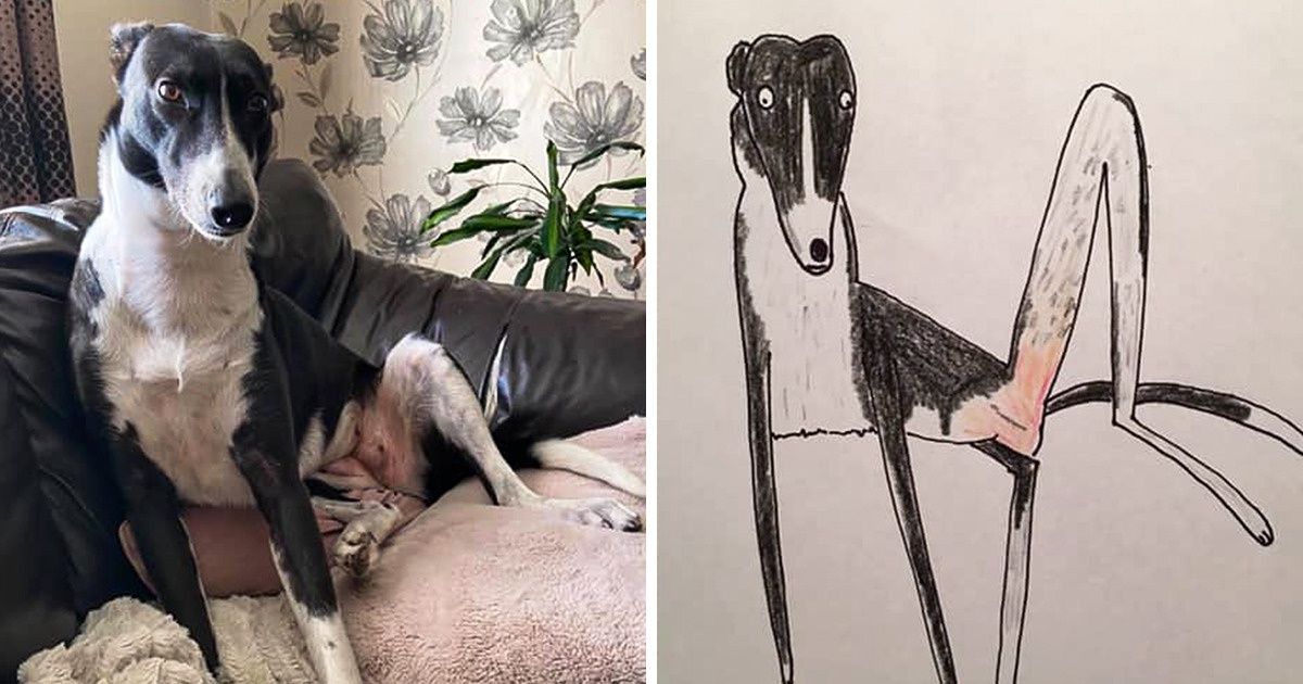 Pai de família tem conseguido dinheiro para caridade graças aos seus desenhos hilários