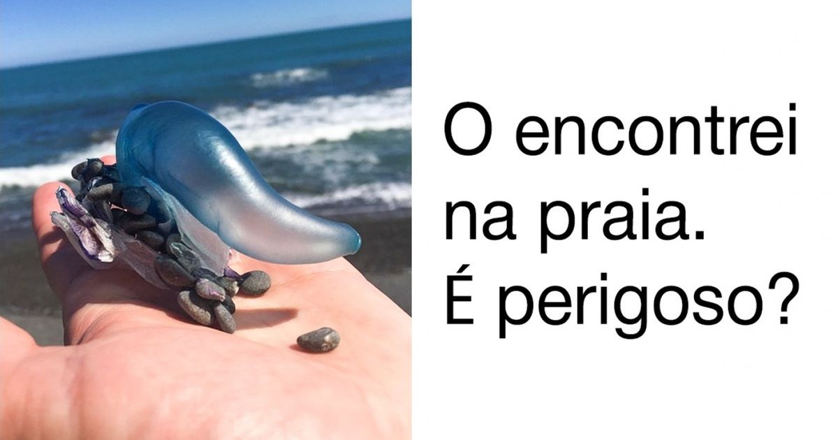 17 Provas de que, na Internet, você pode encontrar a resposta para qualquer pergunta 17 Provas de que, na Internet, você pode encontrar a resposta para qualquer pergunta