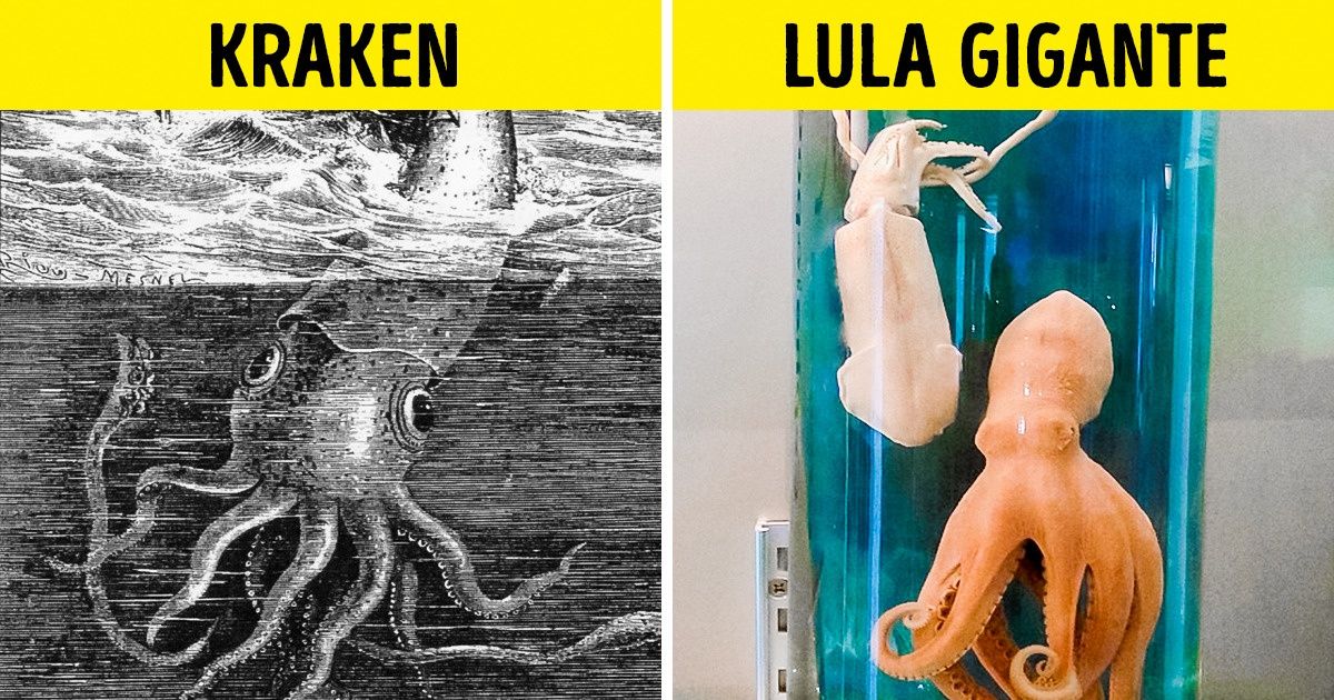 8 Criaturas mitológicas parecidas com animais reais 8 Criaturas mitológicas parecidas com animais reais