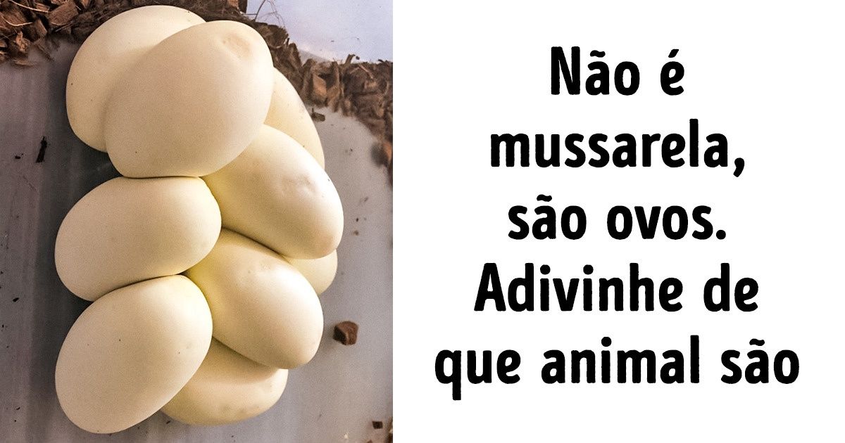 20+ Fotos que não são de alimentos, mas vão dar água na boca