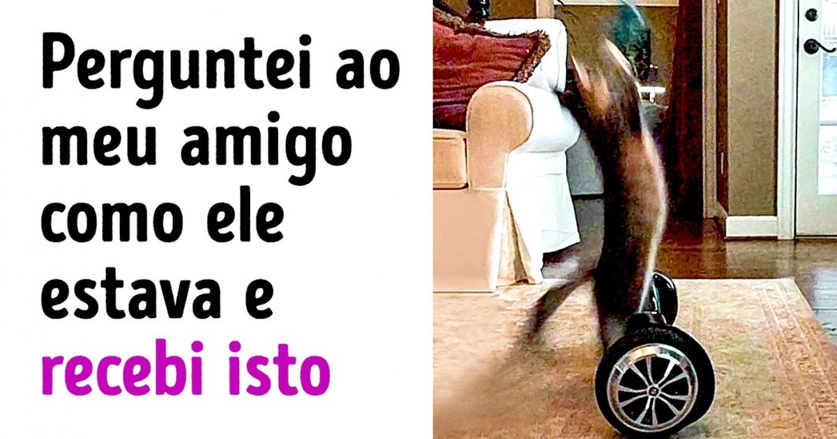 30 Fotos em que coisas realmente estranhas acontecem
