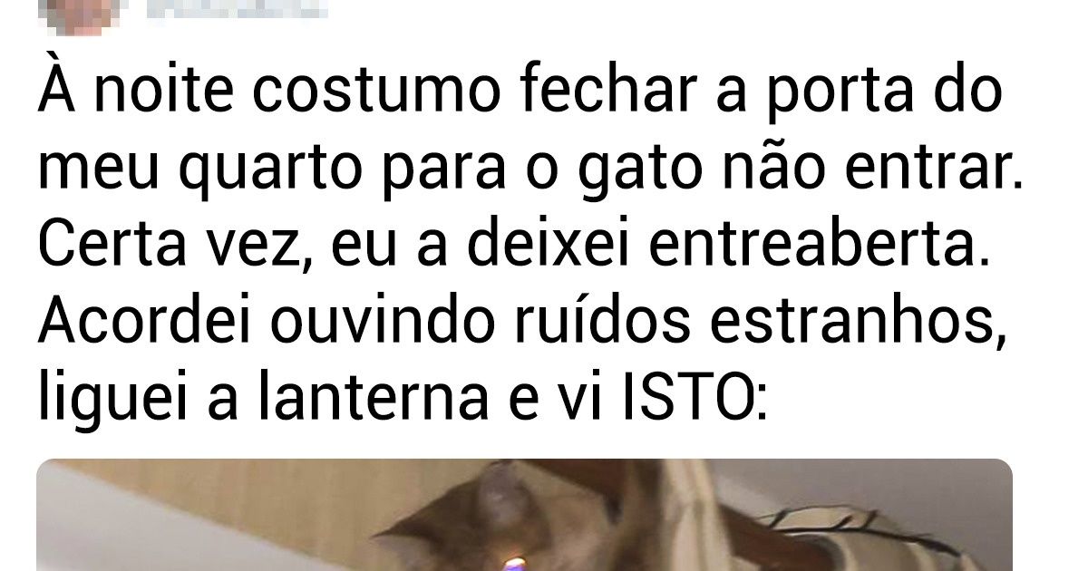 16 Situações com as quais todos os donos de pets vão se identificar