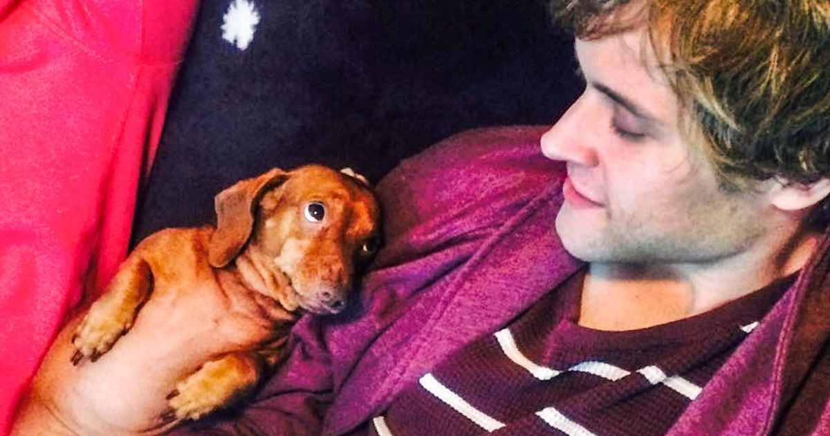 Segundo estudo, algumas pessoas amam mais os seus animais do que outros seres humanos Segundo estudo, algumas pessoas amam mais os seus animais do que outros seres humanos