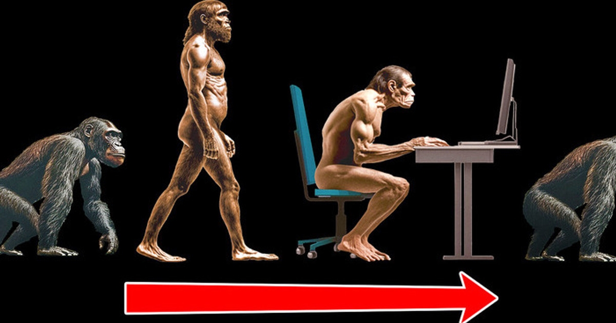 A Verdade Sobre a Evolução Regressiva: Os Organismos Podem Reverter para Formas Mais Simples? A Verdade Sobre a Evolução Regressiva: Os Organismos Podem Reverter para Formas Mais Simples?