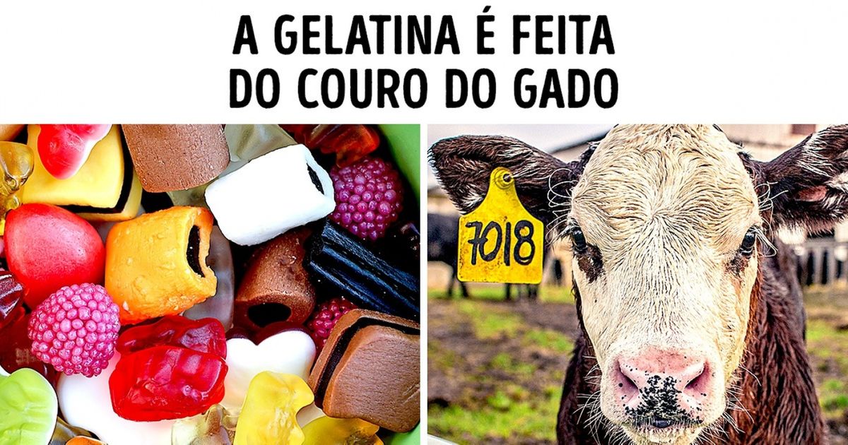Os ingredientes de certos produtos do dia a dia são de assustar