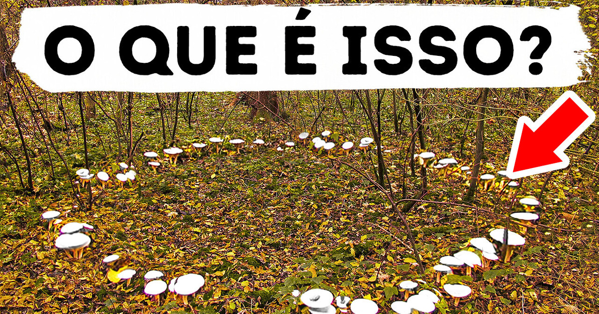 11 Fenômenos naturais misteriosos que você só verá se tiver sorte