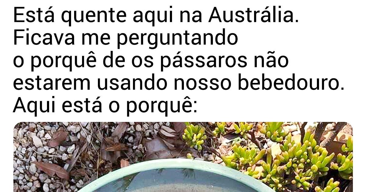 18 Motivos para amar a Austrália (ou odiá-la)