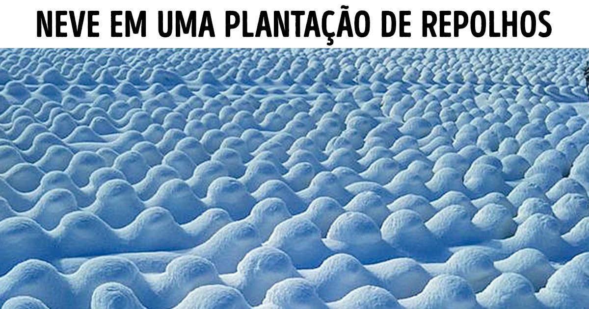 10+ Fotos criativas que mostram como o nosso Planeta é incrível 10+ Fotos criativas que mostram como o nosso Planeta é incrível