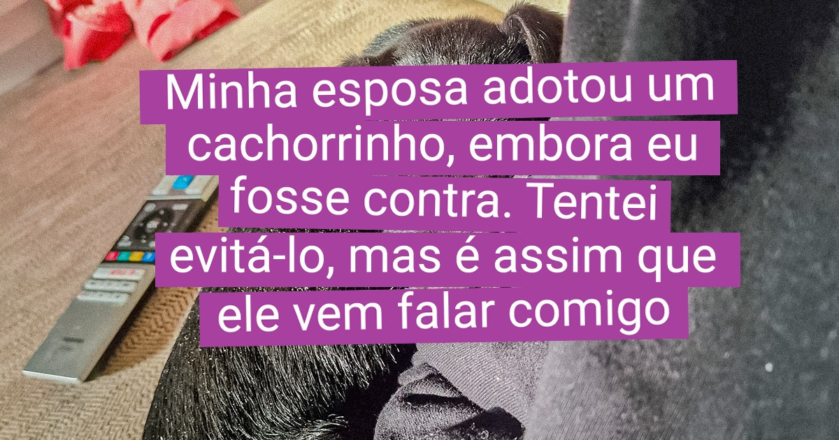 15 Provas de que a vida com um animal de estimação é muito mais divertida