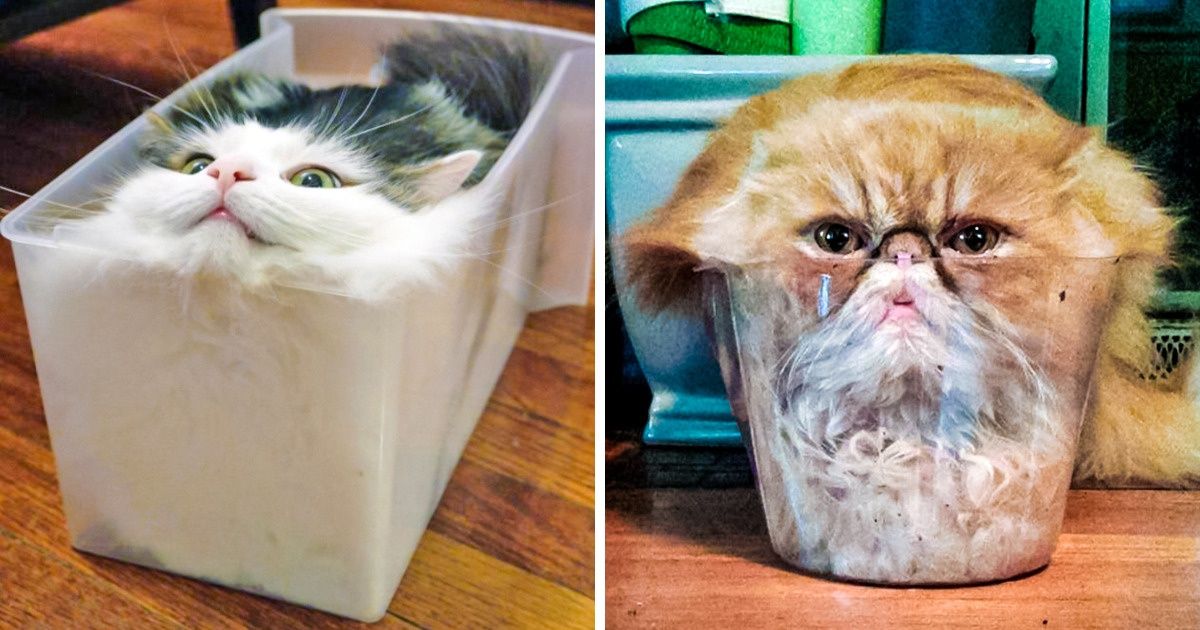 13 Fatos que mostram que a vida pode ser muito estranha