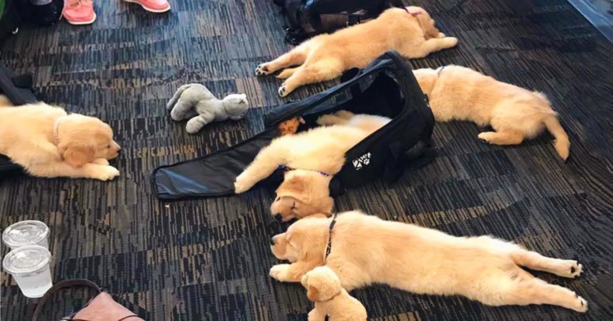 26 Situações que só poderiam acontecer em um aeroporto