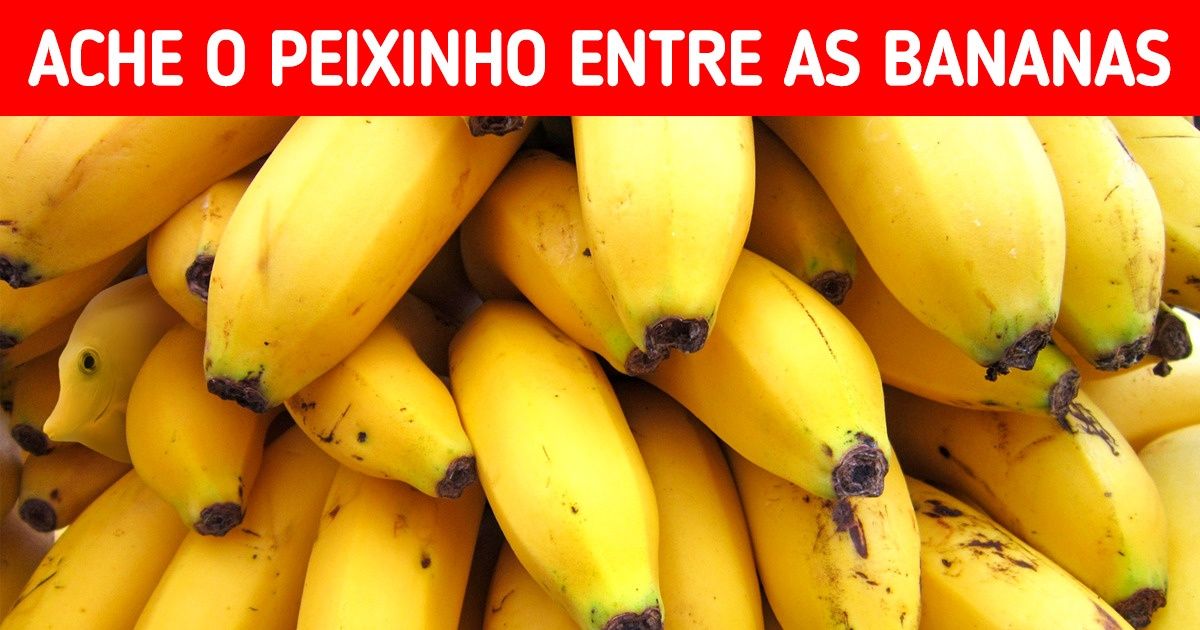 Encontre neste teste os intrusos nas 15 fotos e exercite a sua atenção aos detalhes Encontre neste teste os intrusos nas 15 fotos e exercite a sua atenção aos detalhes