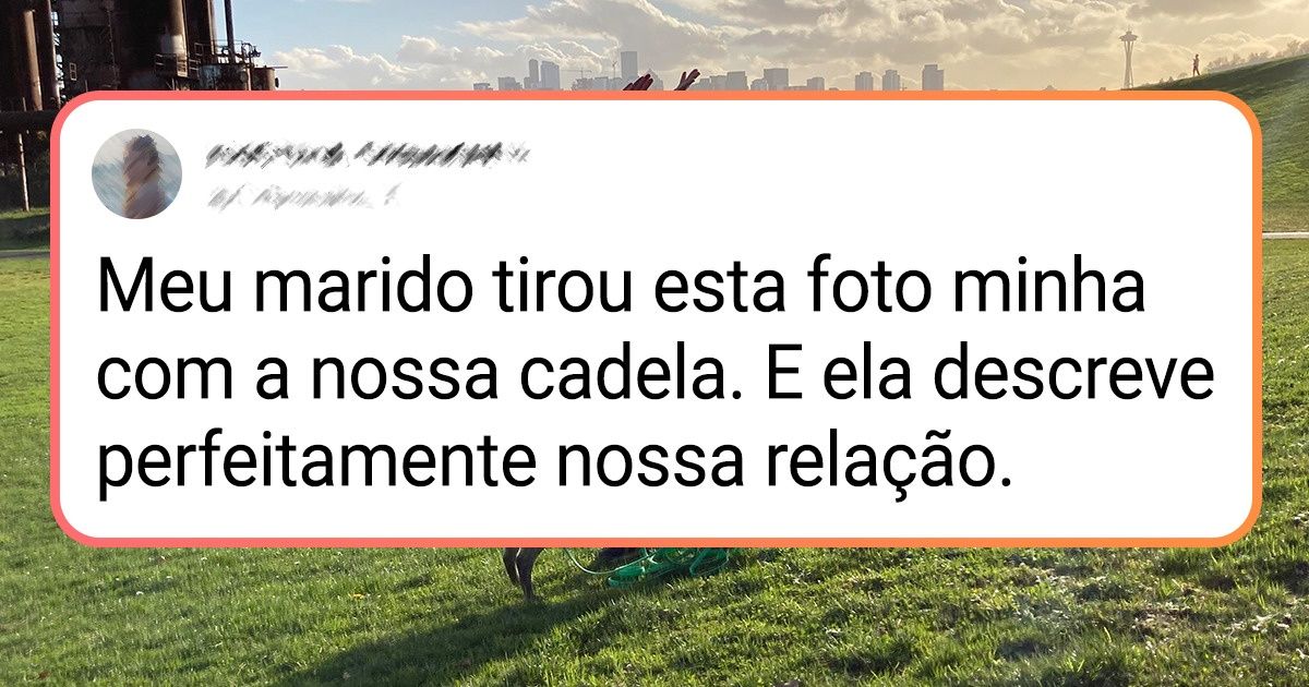 26 Internautas compartilharam situações de seu dia a dia com as quais os donos de pets poderão se identificar