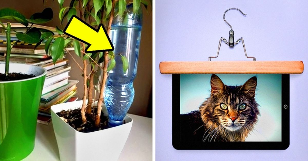 Truques para facilitar a vida dos preguiçosos Truques para facilitar a vida dos preguiçosos