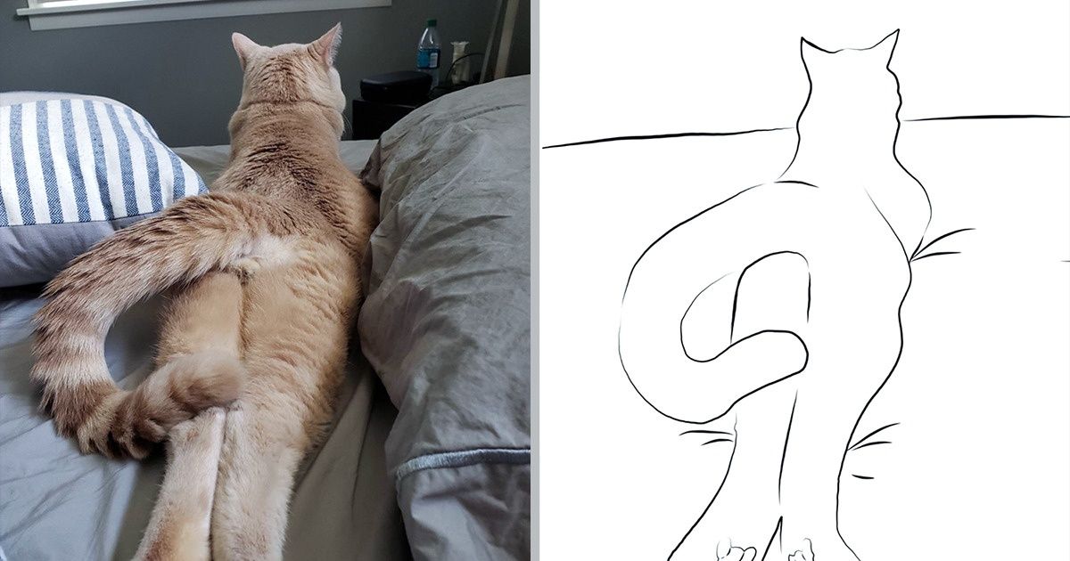 15 Internautas compartilham ilustrações minimalistas de seus gatos, e todos os trabalhos são muito fofos 15 Internautas compartilham ilustrações minimalistas de seus gatos, e todos os trabalhos são muito fofos