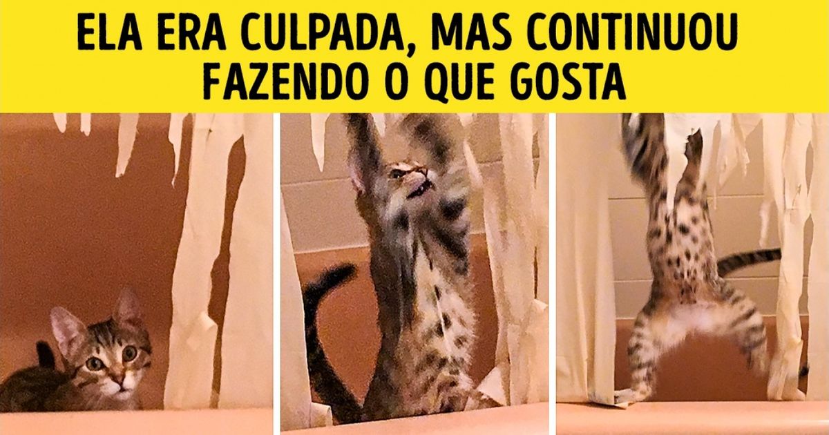 22 Fotos com animais que tiram qualquer um do sério