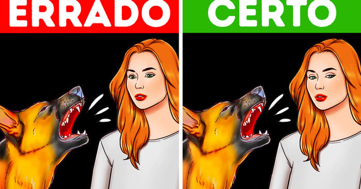 Uma coisa que você não deve fazer se der de cara com um cachorro de rua