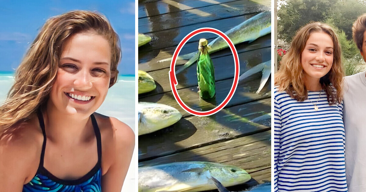 A história da garota que jogou uma mensagem no oceano e teve a vida transformada em um conto de fadas