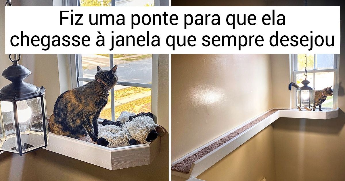 20 Animais que encontraram sua alma gêmea humana 20 Animais que encontraram sua alma gêmea humana