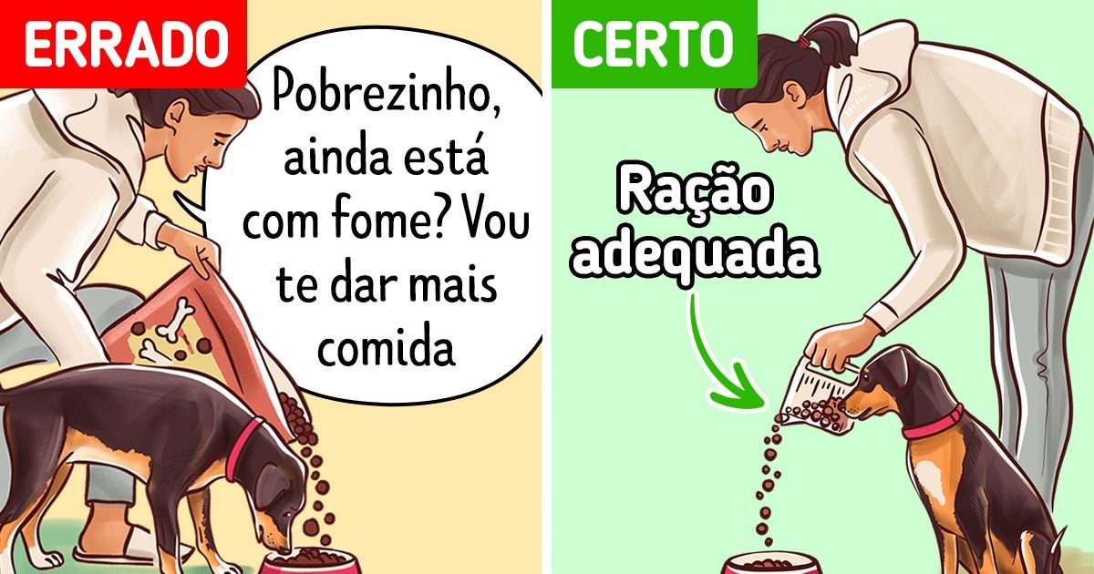 10 Dicas que podem ajudar seu cão a parar de puxar a coleira durante o passeio 10 Dicas que podem ajudar seu cão a parar de puxar a coleira durante o passeio