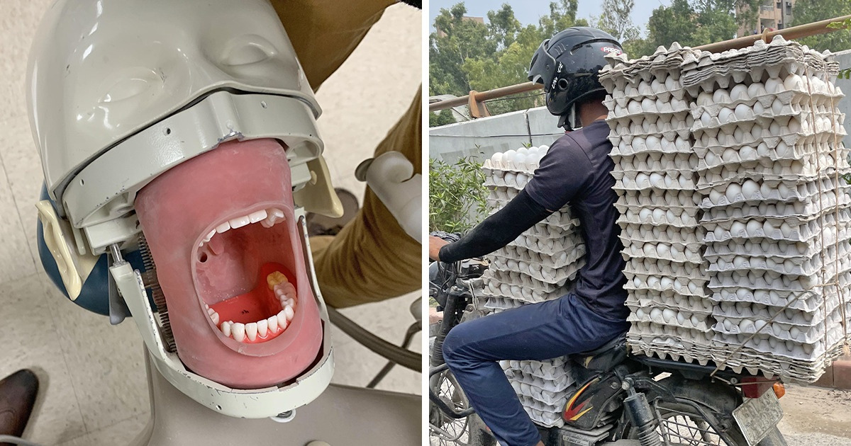 15 Imagens que vão deixar você paralisado e se perguntando: "POR QUÊ?"