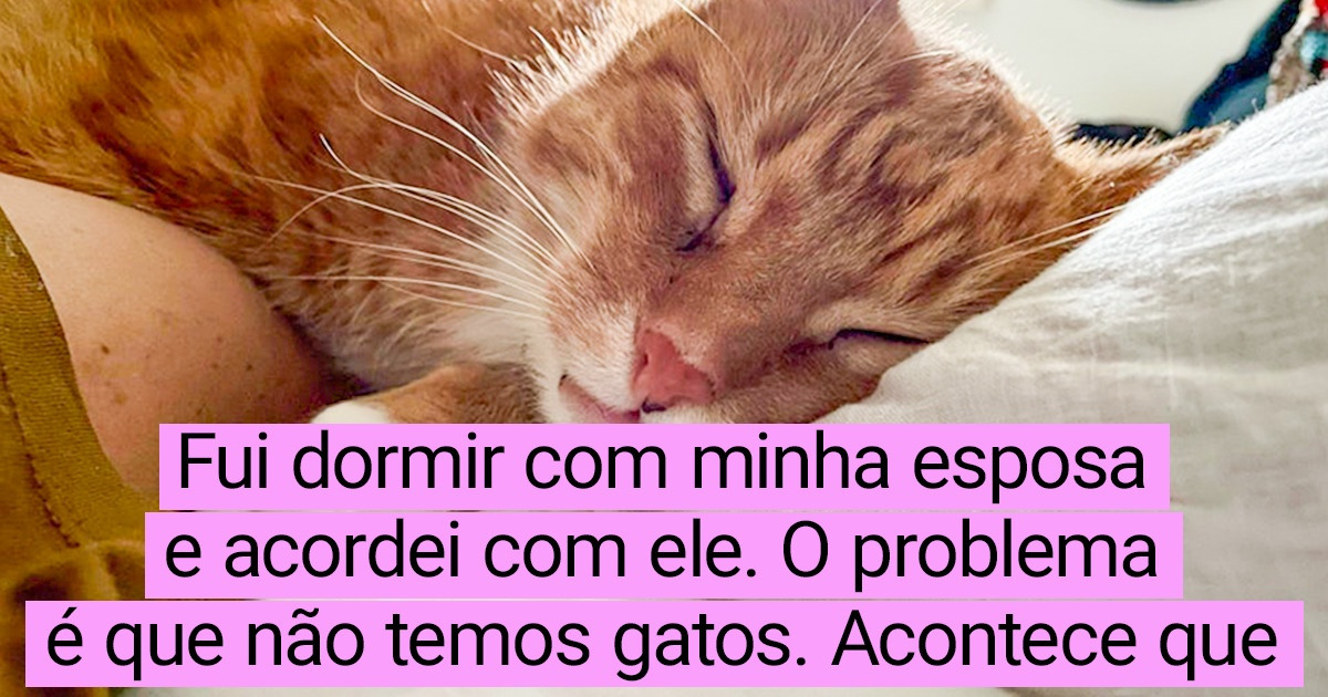 15+ Situações inusitadas que aconteceram pela manhã e definiram o ritmo do resto do dia