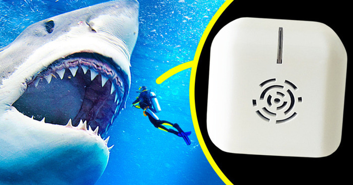 11 Coisas que você usa todos os dias, mas não funcionam como você pensa 11 Coisas que você usa todos os dias, mas não funcionam como você pensa