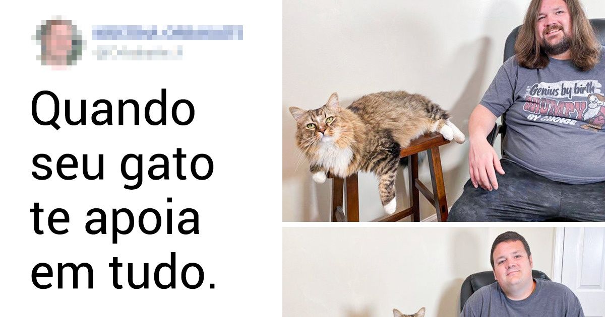 19 Provas de que os animais de estimação são reflexos da personalidade de seus donos