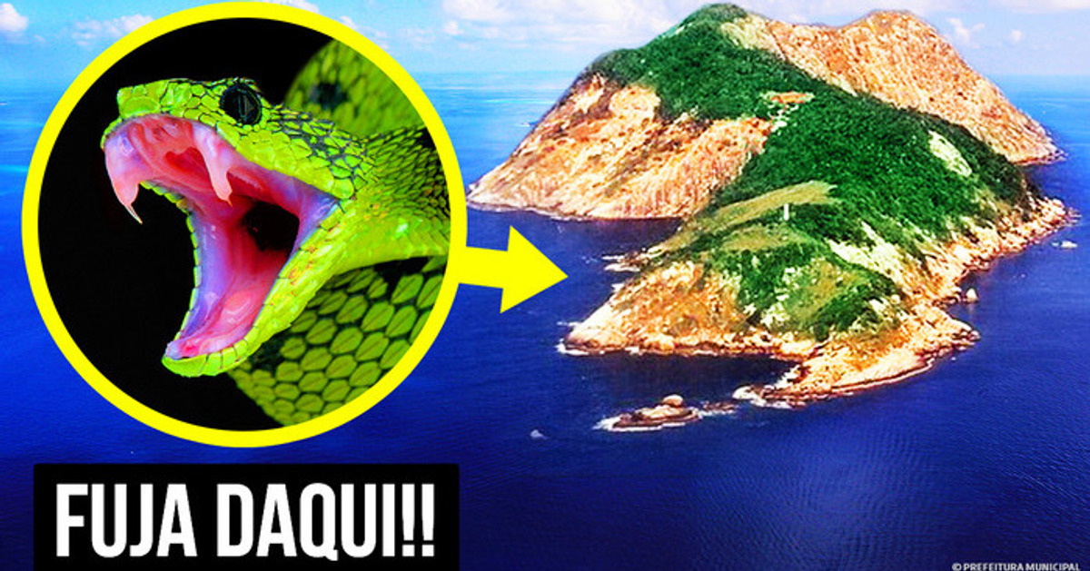 Como as Cobras Fizeram Desta Ilha o Lugar Mais Perigoso do Planeta Como as Cobras Fizeram Desta Ilha o Lugar Mais Perigoso do Planeta